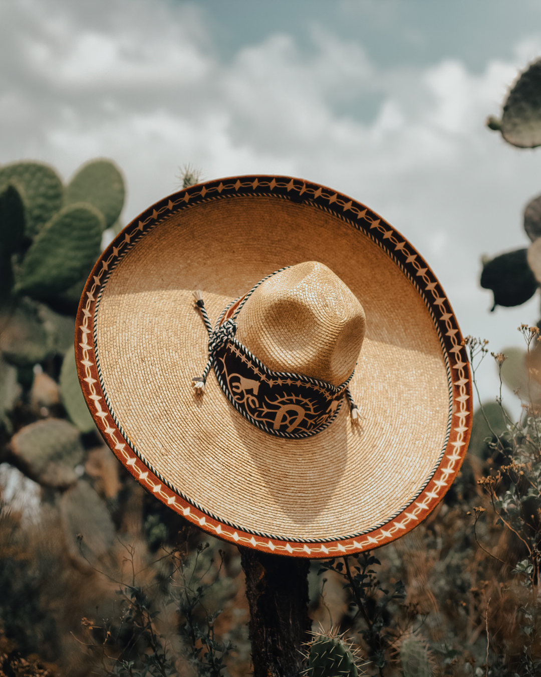Mexican Coffee