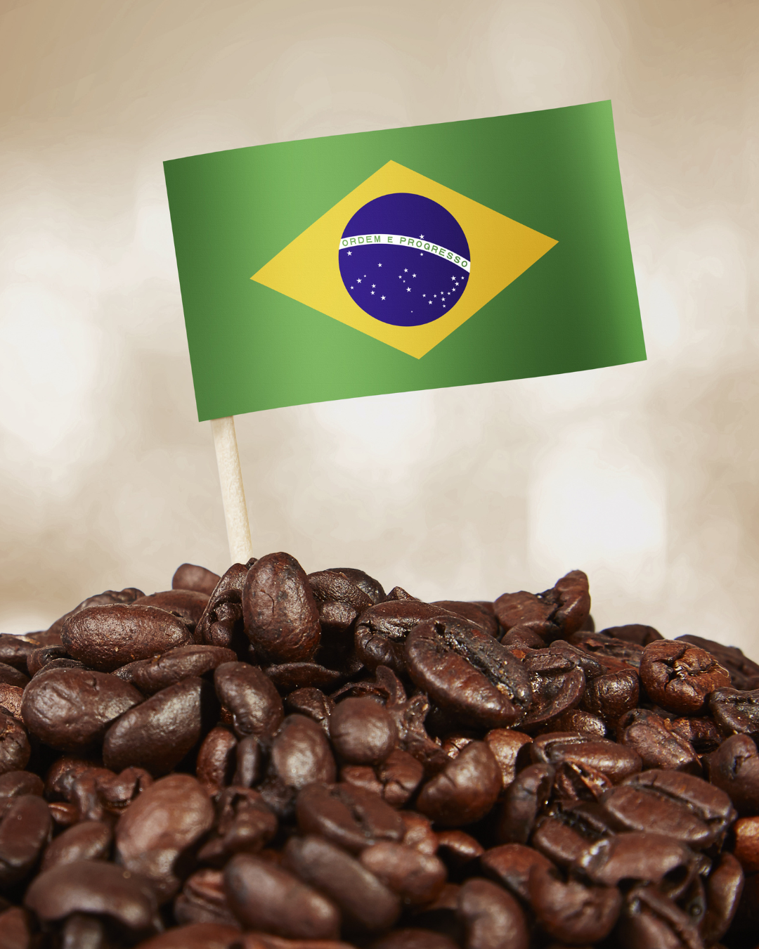 Brazilian Blend 4oz