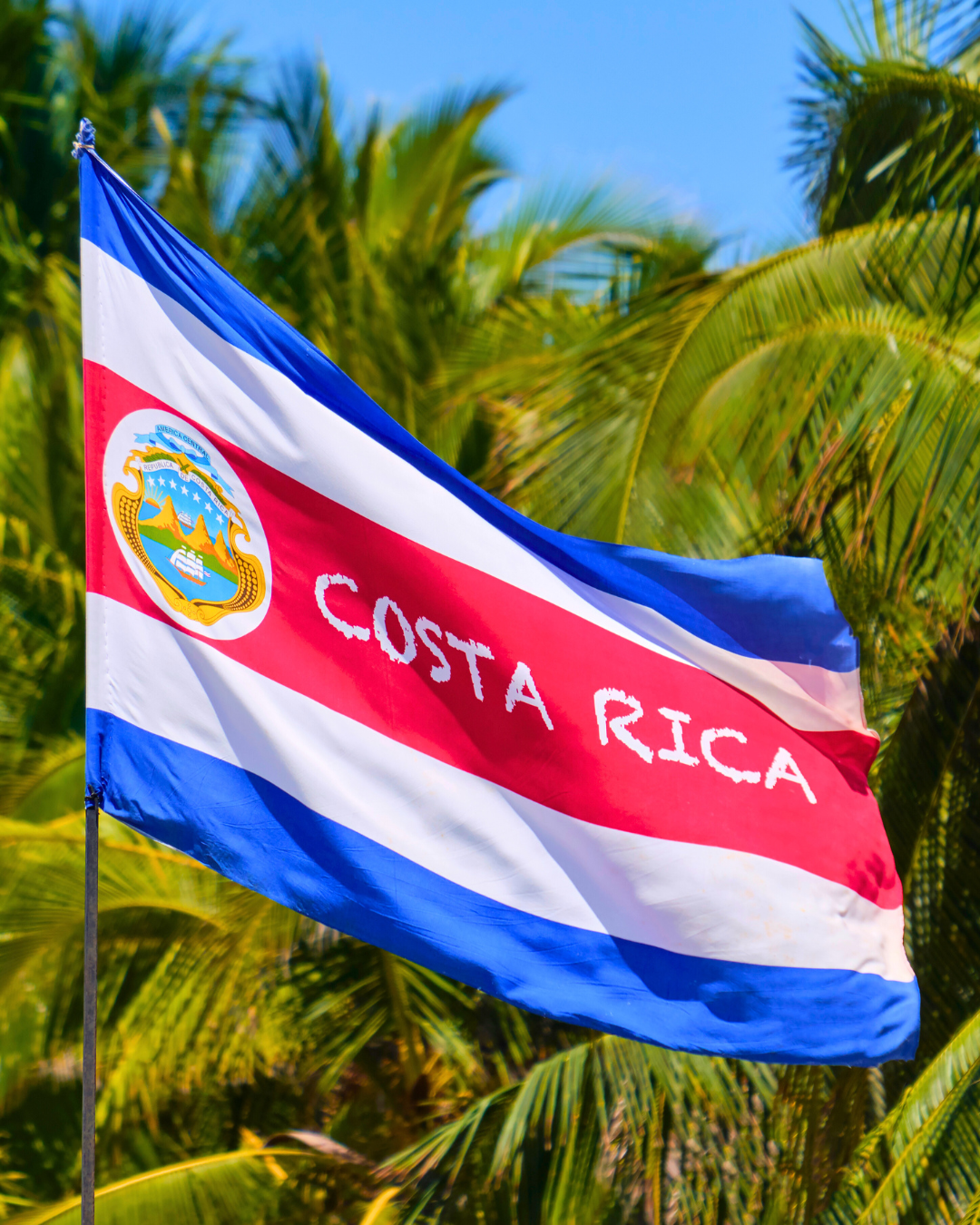 Costa Rican Coffee