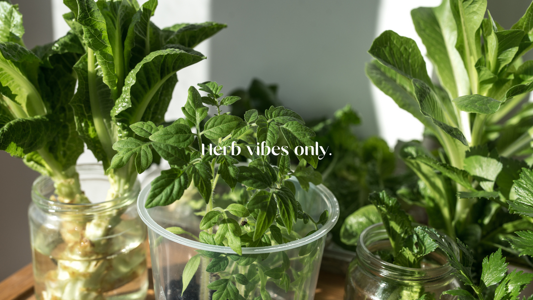 Why Growing Your Own Food at Home Matters More Than Ever