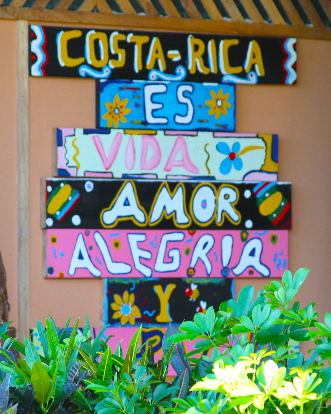Costa Rican Coffee
