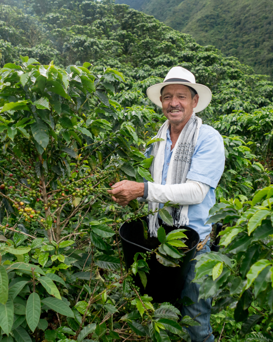 Colombian Coffee